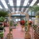Nave garden. Jardinería ECORAPID 720 m2. Tárrega, Lérida (España) - Cualimetal 1